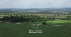 Fazenda à Venda 8.228 Hectares Potencial para Pecuária e Soja | Araguaina/TO