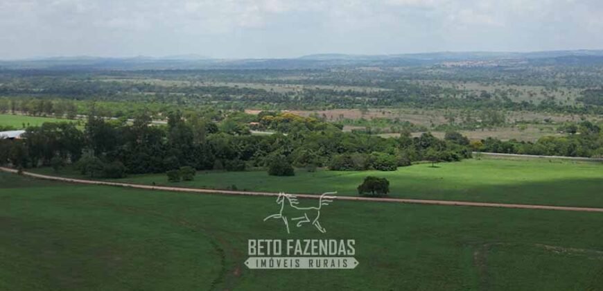 Fazenda à Venda 8.228 Hectares Potencial para Pecuária e Soja | Araguaina/TO