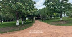 Fazenda à Venda 8.228 Hectares Potencial para Pecuária e Soja | Araguaina/TO