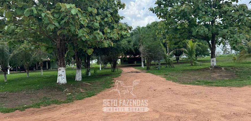 Fazenda à Venda 8.228 Hectares Potencial para Pecuária e Soja | Araguaina/TO