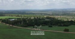 Fazenda à Venda 8.228 Hectares Potencial para Pecuária e Soja | Araguaina/TO