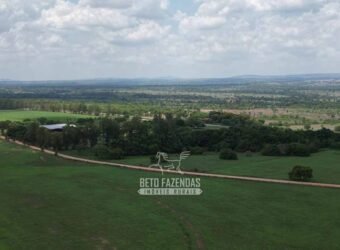 Fazenda à Venda 8.228 Hectares Potencial para Pecuária e Soja | Araguaina/TO