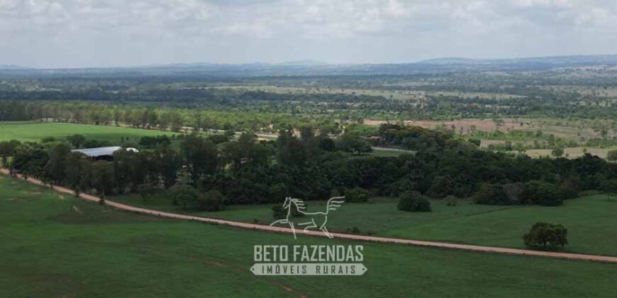 Fazenda à Venda 8.228 Hectares Potencial para Pecuária e Soja | Araguaina/TO
