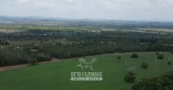 Fazenda à Venda 8.228 Hectares Potencial para Pecuária e Soja | Araguaina/TO