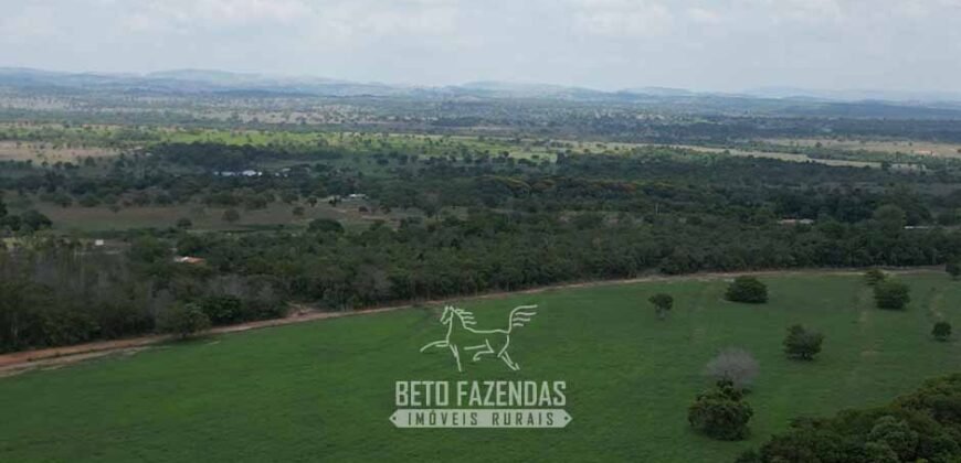 Fazenda à Venda 8.228 Hectares Potencial para Pecuária e Soja | Araguaina/TO
