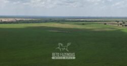 Fazenda à Venda 8.228 Hectares Potencial para Pecuária e Soja | Araguaina/TO