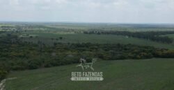 Fazenda à Venda 8.228 Hectares Potencial para Pecuária e Soja | Araguaina/TO