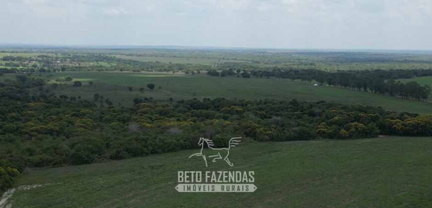 Fazenda à Venda 8.228 Hectares Potencial para Pecuária e Soja | Araguaina/TO