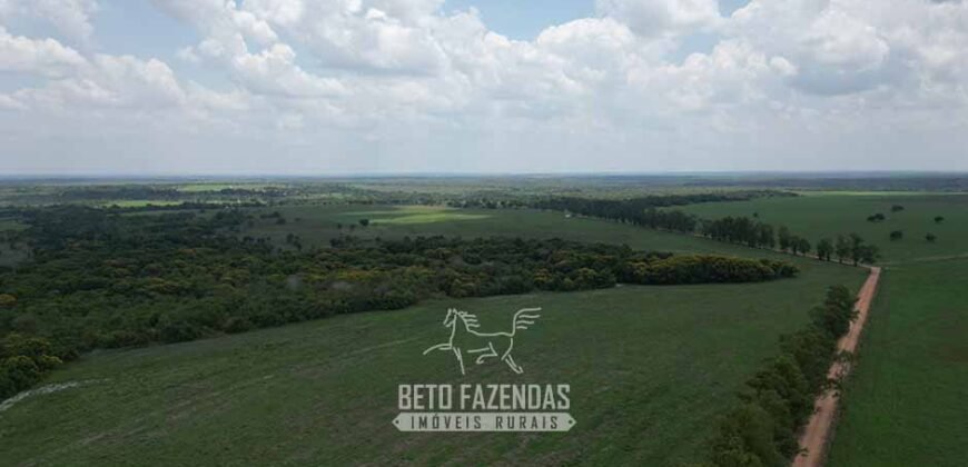 Fazenda à Venda 8.228 Hectares Potencial para Pecuária e Soja | Araguaina/TO