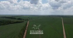 Fazenda à Venda 8.228 Hectares Potencial para Pecuária e Soja | Araguaina/TO