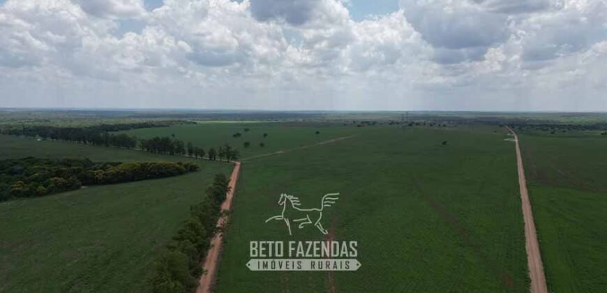 Fazenda à Venda 8.228 Hectares Potencial para Pecuária e Soja | Araguaina/TO