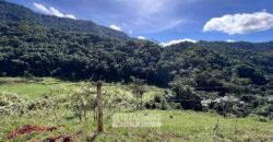 Fazenda â Venda 203 Hectares com Abundância Hídrica e Pecuária | Santa Maria Madalena/RJ