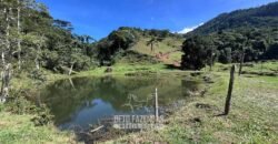 Fazenda â Venda 203 Hectares com Abundância Hídrica e Pecuária | Santa Maria Madalena/RJ