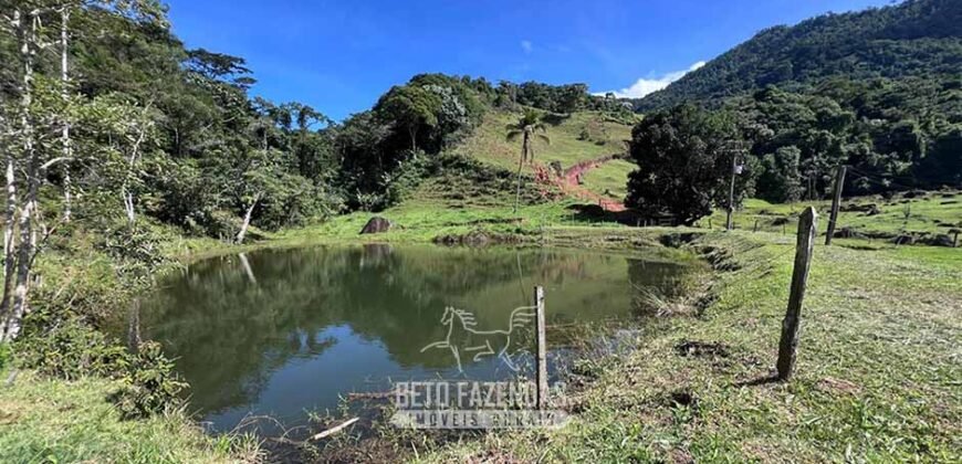 Fazenda â Venda 203 Hectares com Abundância Hídrica e Pecuária | Santa Maria Madalena/RJ