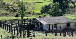 Fazenda â Venda 203 Hectares com Abundância Hídrica e Pecuária | Santa Maria Madalena/RJ