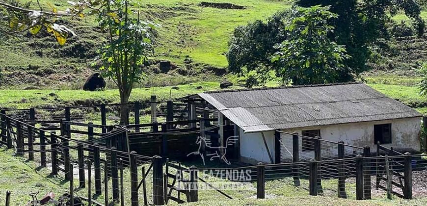 Fazenda â Venda 203 Hectares com Abundância Hídrica e Pecuária | Santa Maria Madalena/RJ