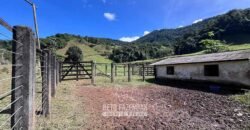 Fazenda â Venda 203 Hectares com Abundância Hídrica e Pecuária | Santa Maria Madalena/RJ