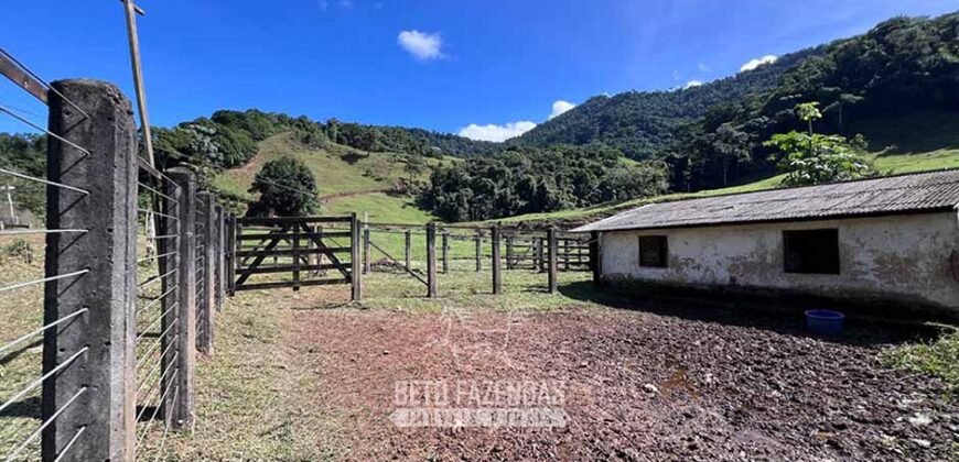 Fazenda â Venda 203 Hectares com Abundância Hídrica e Pecuária | Santa Maria Madalena/RJ