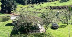 Fazenda â Venda 203 Hectares com Abundância Hídrica e Pecuária | Santa Maria Madalena/RJ