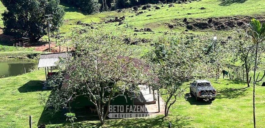 Fazenda â Venda 203 Hectares com Abundância Hídrica e Pecuária | Santa Maria Madalena/RJ
