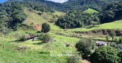 Fazenda â Venda 203 Hectares com Abundância Hídrica e Pecuária | Santa Maria Madalena/RJ