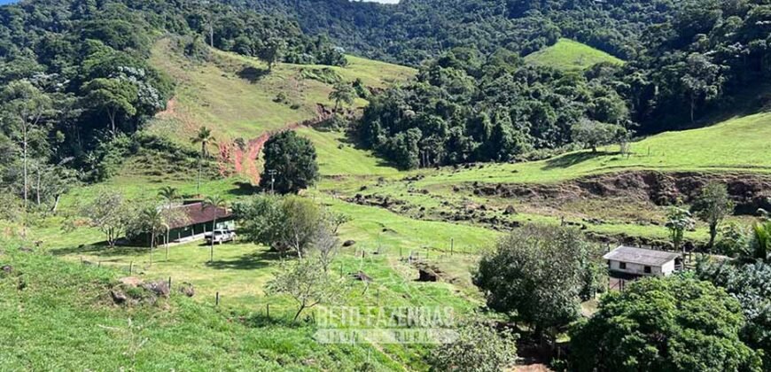 Fazenda â Venda 203 Hectares com Abundância Hídrica e Pecuária | Santa Maria Madalena/RJ