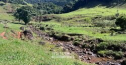 Fazenda â Venda 203 Hectares com Abundância Hídrica e Pecuária | Santa Maria Madalena/RJ