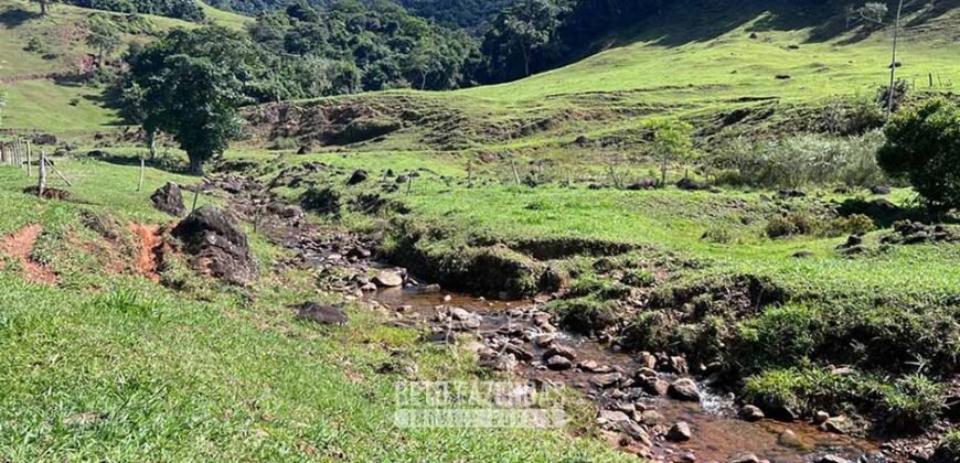 Fazenda â Venda 203 Hectares com Abundância Hídrica e Pecuária | Santa Maria Madalena/RJ