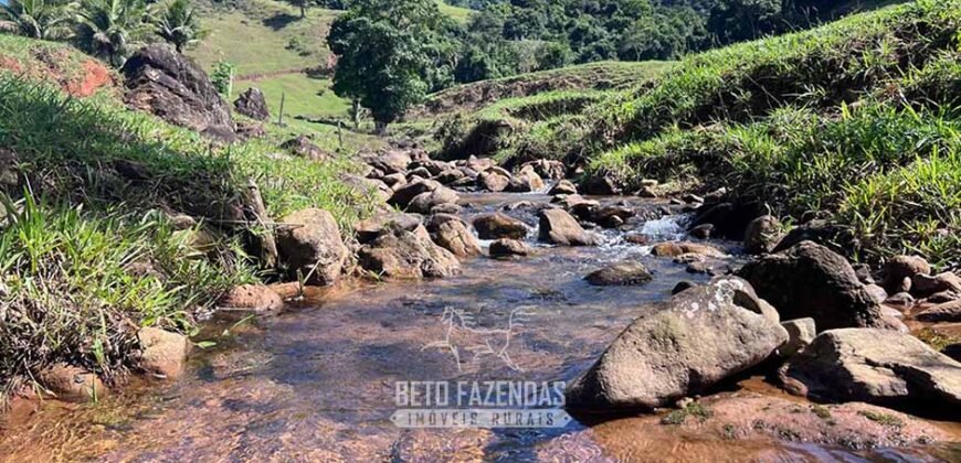 Fazenda â Venda 203 Hectares com Abundância Hídrica e Pecuária | Santa Maria Madalena/RJ