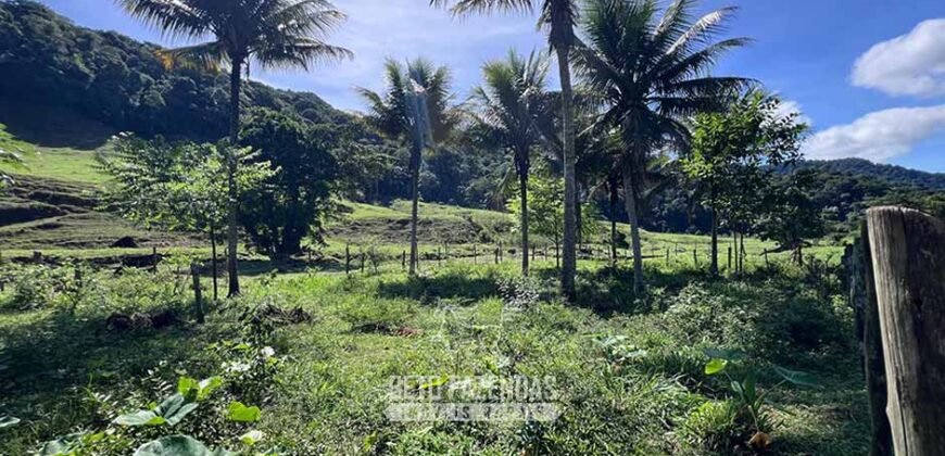 Fazenda â Venda 203 Hectares com Abundância Hídrica e Pecuária | Santa Maria Madalena/RJ