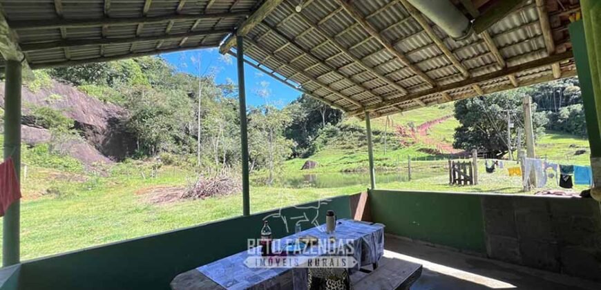 Fazenda â Venda 203 Hectares com Abundância Hídrica e Pecuária | Santa Maria Madalena/RJ