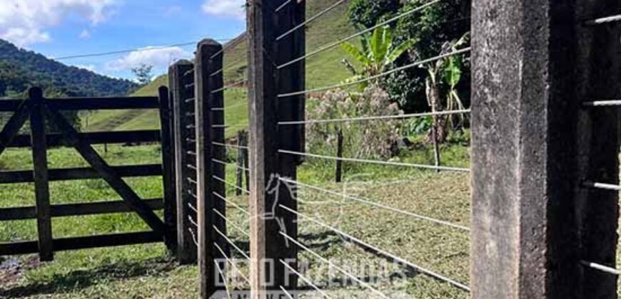 Fazenda â Venda 203 Hectares com Abundância Hídrica e Pecuária | Santa Maria Madalena/RJ