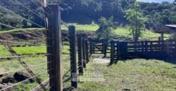 Fazenda â Venda 203 Hectares com Abundância Hídrica e Pecuária | Santa Maria Madalena/RJ