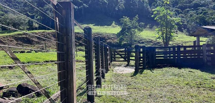 Fazenda â Venda 203 Hectares com Abundância Hídrica e Pecuária | Santa Maria Madalena/RJ