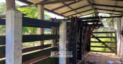 Fazenda â Venda 203 Hectares com Abundância Hídrica e Pecuária | Santa Maria Madalena/RJ