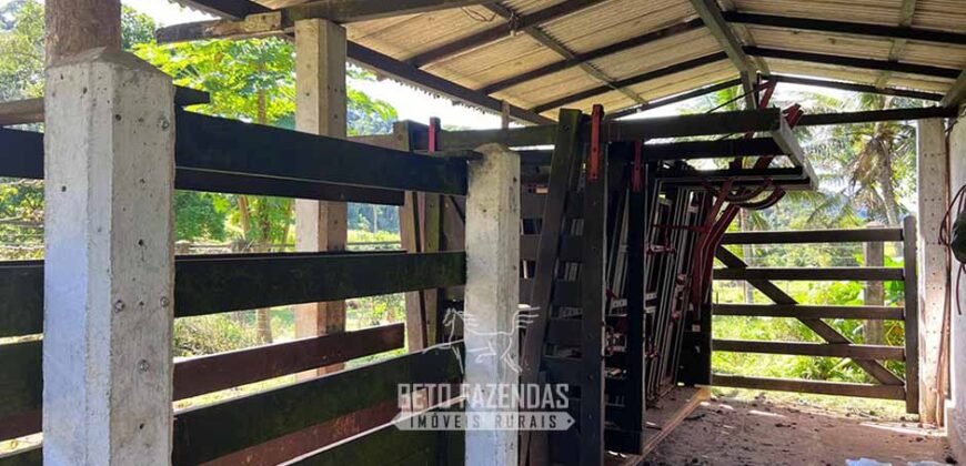 Fazenda â Venda 203 Hectares com Abundância Hídrica e Pecuária | Santa Maria Madalena/RJ
