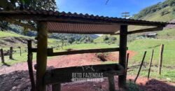 Fazenda â Venda 203 Hectares com Abundância Hídrica e Pecuária | Santa Maria Madalena/RJ