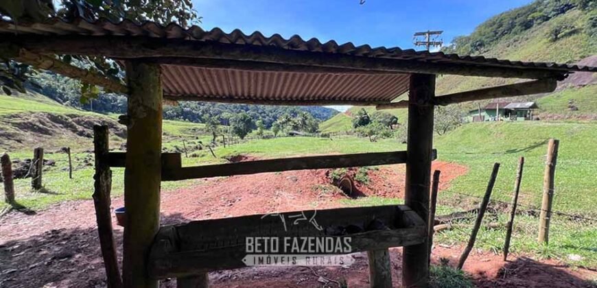 Fazenda â Venda 203 Hectares com Abundância Hídrica e Pecuária | Santa Maria Madalena/RJ