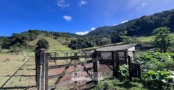 Fazenda â Venda 203 Hectares com Abundância Hídrica e Pecuária | Santa Maria Madalena/RJ