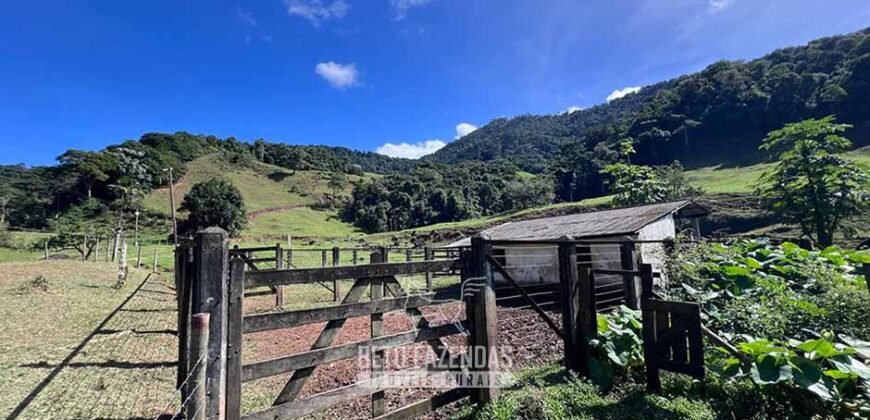 Fazenda â Venda 203 Hectares com Abundância Hídrica e Pecuária | Santa Maria Madalena/RJ