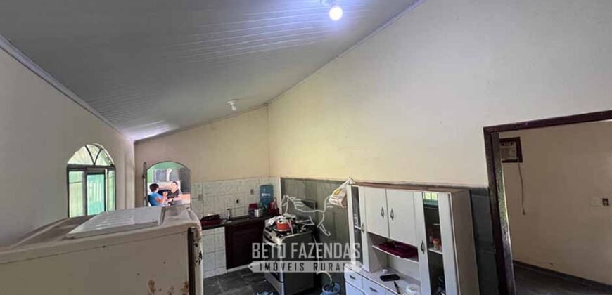 Fazenda â Venda 203 Hectares com Abundância Hídrica e Pecuária | Santa Maria Madalena/RJ