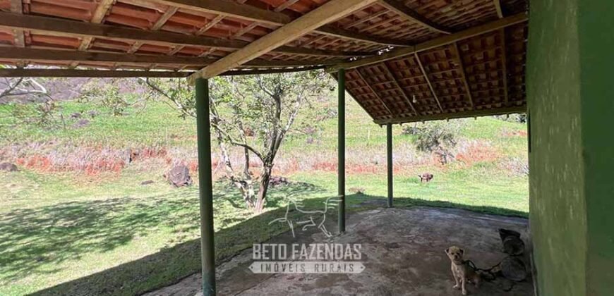 Fazenda â Venda 203 Hectares com Abundância Hídrica e Pecuária | Santa Maria Madalena/RJ