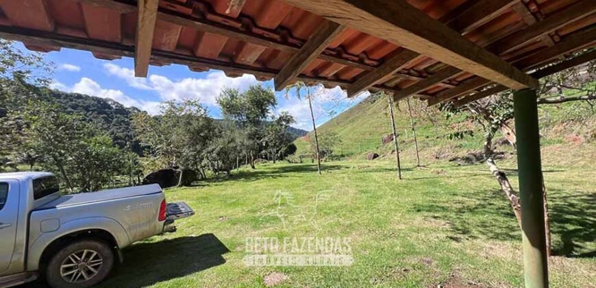Fazenda â Venda 203 Hectares com Abundância Hídrica e Pecuária | Santa Maria Madalena/RJ