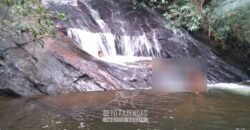 Fazenda â Venda 203 Hectares com Abundância Hídrica e Pecuária | Santa Maria Madalena/RJ