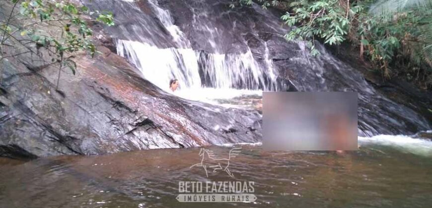 Fazenda â Venda 203 Hectares com Abundância Hídrica e Pecuária | Santa Maria Madalena/RJ