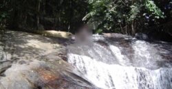 Fazenda â Venda 203 Hectares com Abundância Hídrica e Pecuária | Santa Maria Madalena/RJ