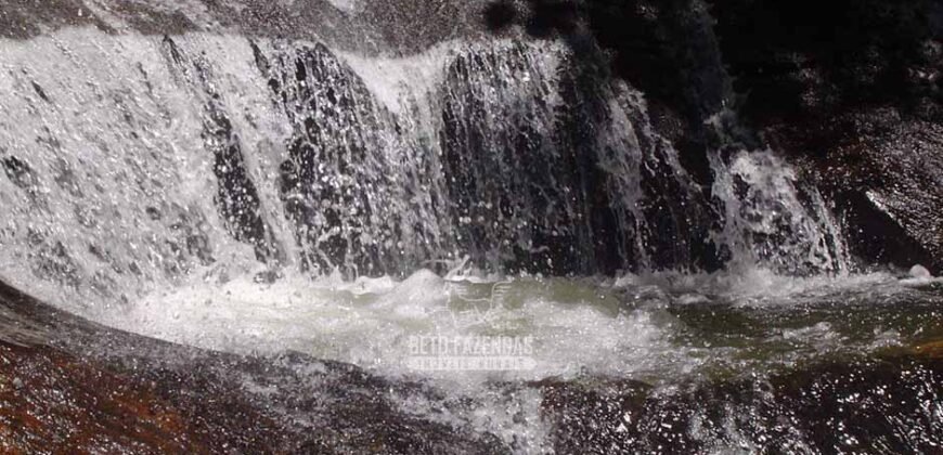 Fazenda â Venda 203 Hectares com Abundância Hídrica e Pecuária | Santa Maria Madalena/RJ