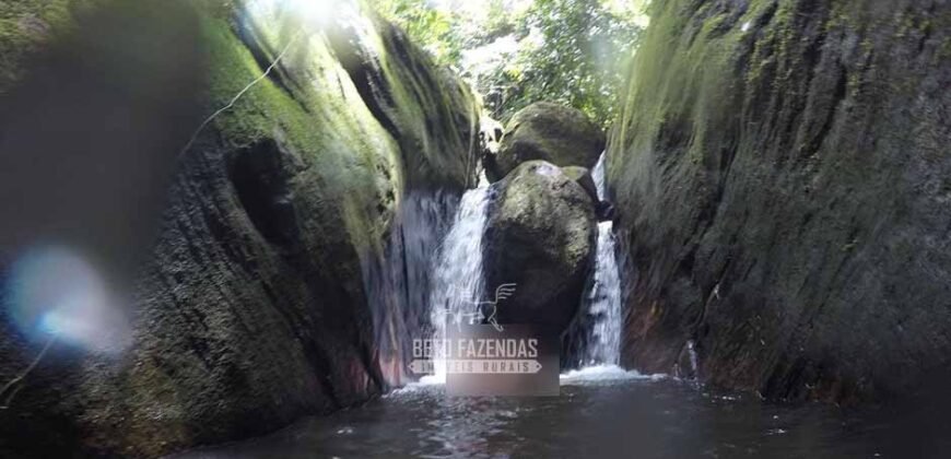 Fazenda â Venda 203 Hectares com Abundância Hídrica e Pecuária | Santa Maria Madalena/RJ