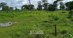 Fazenda à Venda 7.695 hectares de Dupla Aptidão no Sul do Tocantins Fazenda à Venda 7.695 hectares de Dupla Aptidão no Sul do Tocantins