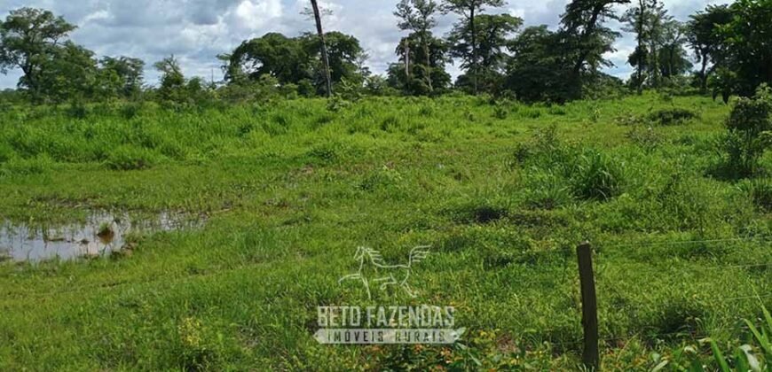 Fazenda à Venda 7.695 hectares de Dupla Aptidão no Sul do Tocantins Fazenda à Venda 7.695 hectares de Dupla Aptidão no Sul do Tocantins